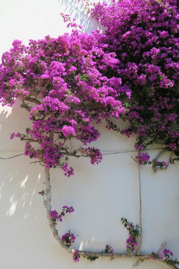 Las Rocas - Casa Diaz Roses Exteriér fotografie